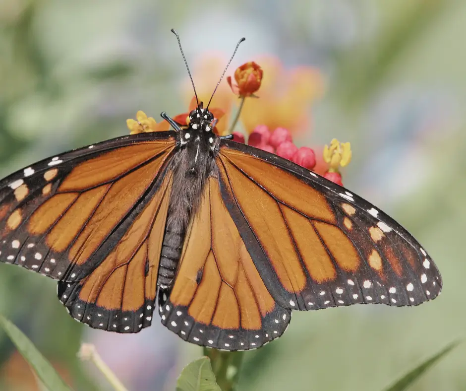 A kevesebb néha több